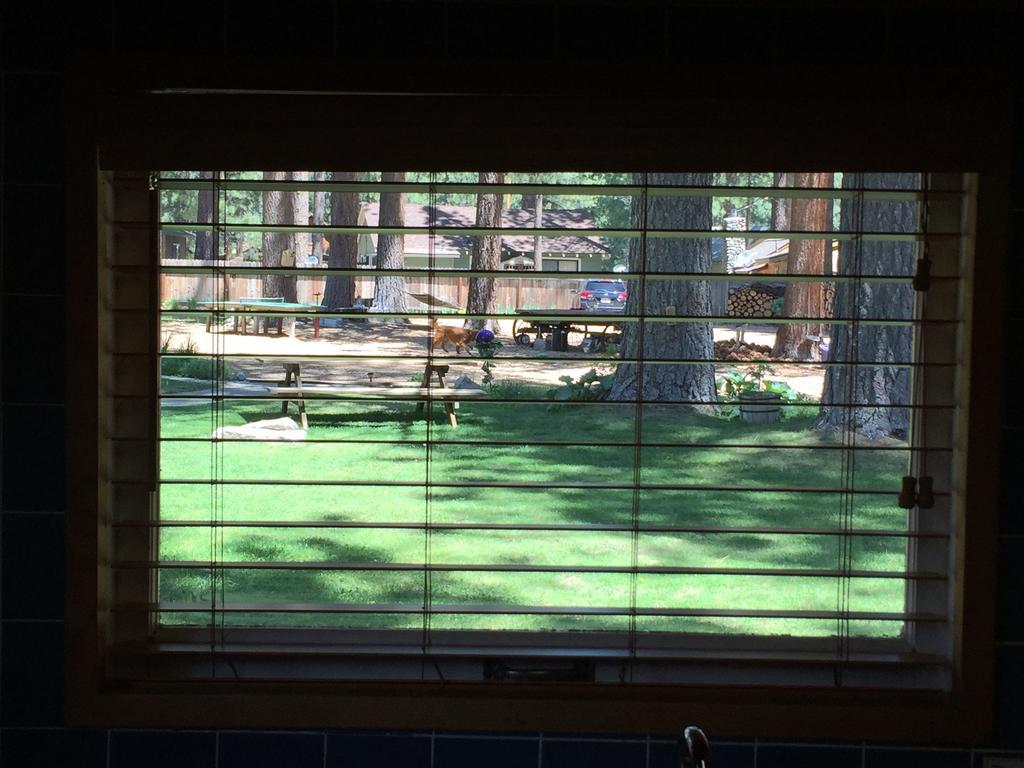 Holly'S Place South Lake Tahoe Rom bilde